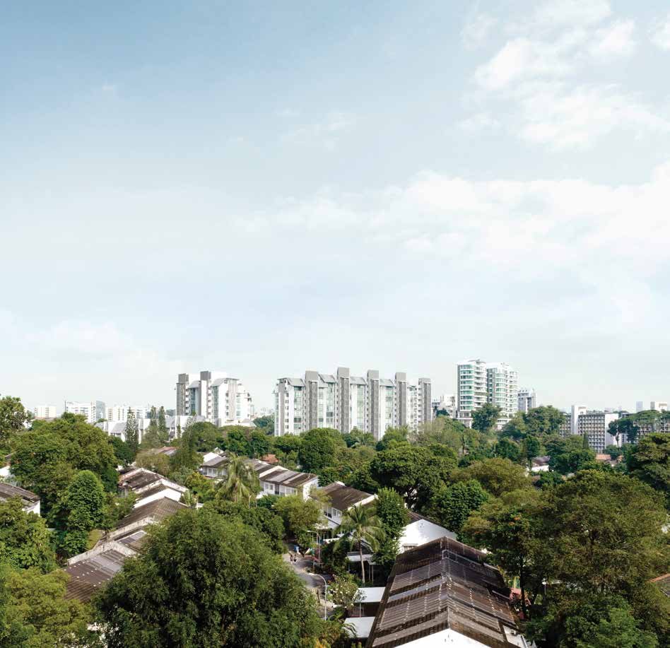 Landed homes and the neighbourhood around Holland Road